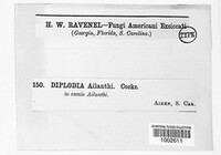 Image Associated With the Occurrence